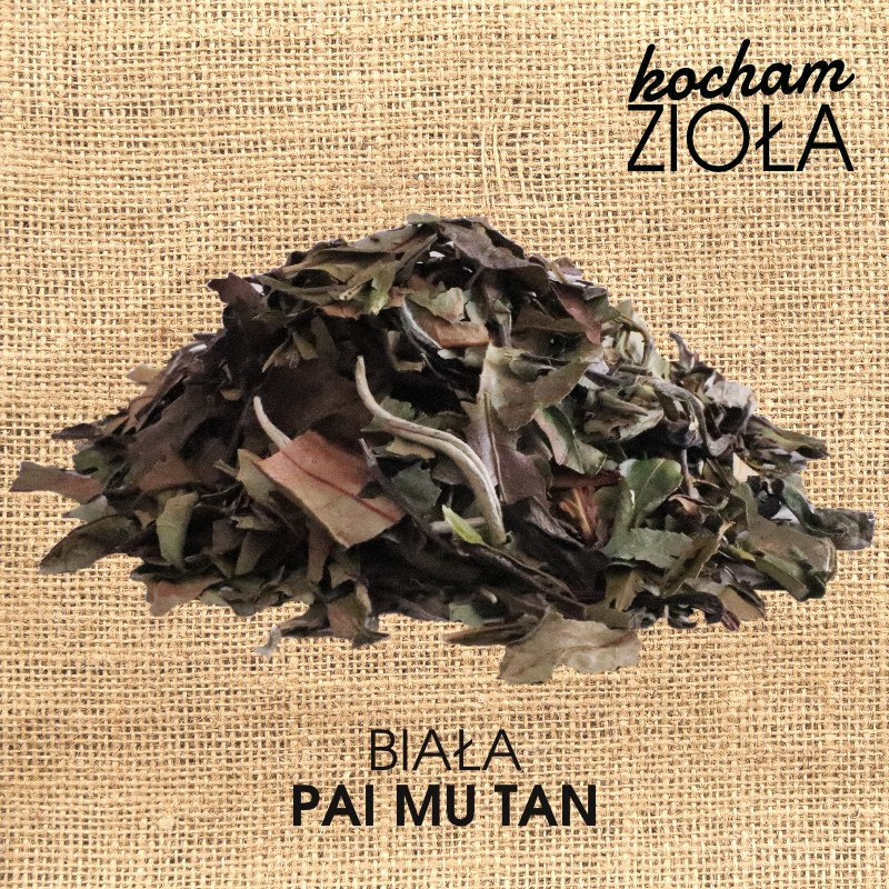 Biała - Pai Mu Tan